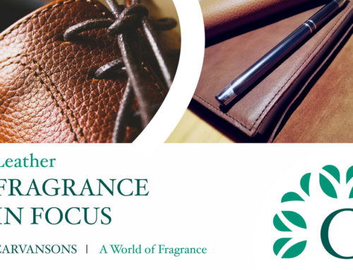 Leather Fragrance Notes – Fragrance in Focus