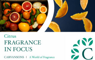 Fragrance - citrus