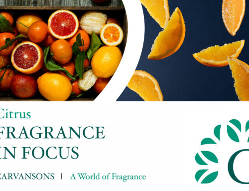 Positively Fruity – Why Citrus Fragrances are big news for Summer 2022