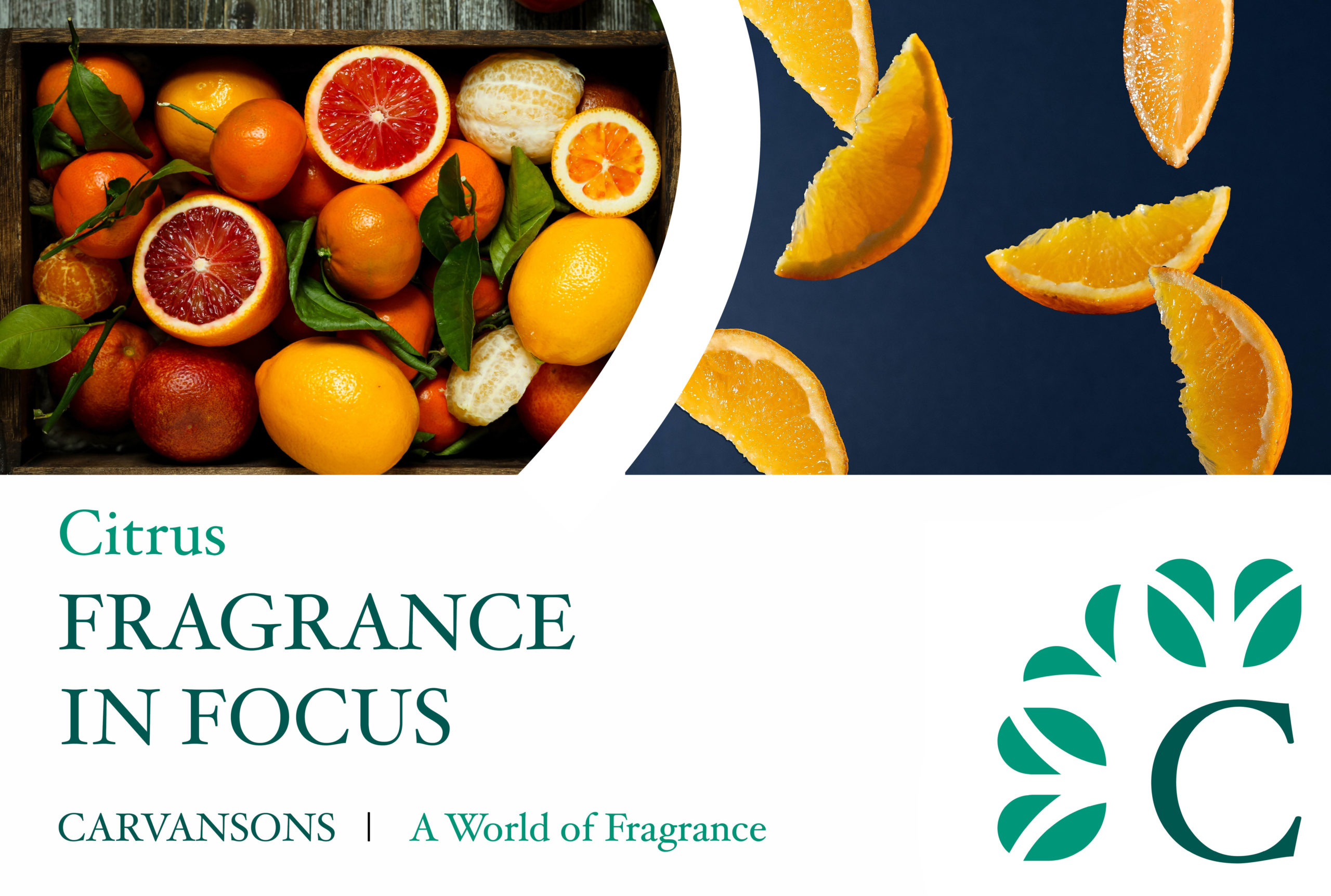 Fragrance - citrus