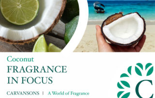 Coconut Fragrance oil