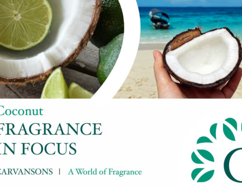 Why we’re Nuts for Coconut Fragrance this Summer!