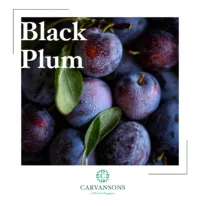 black plum