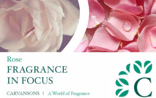 rose fragrances