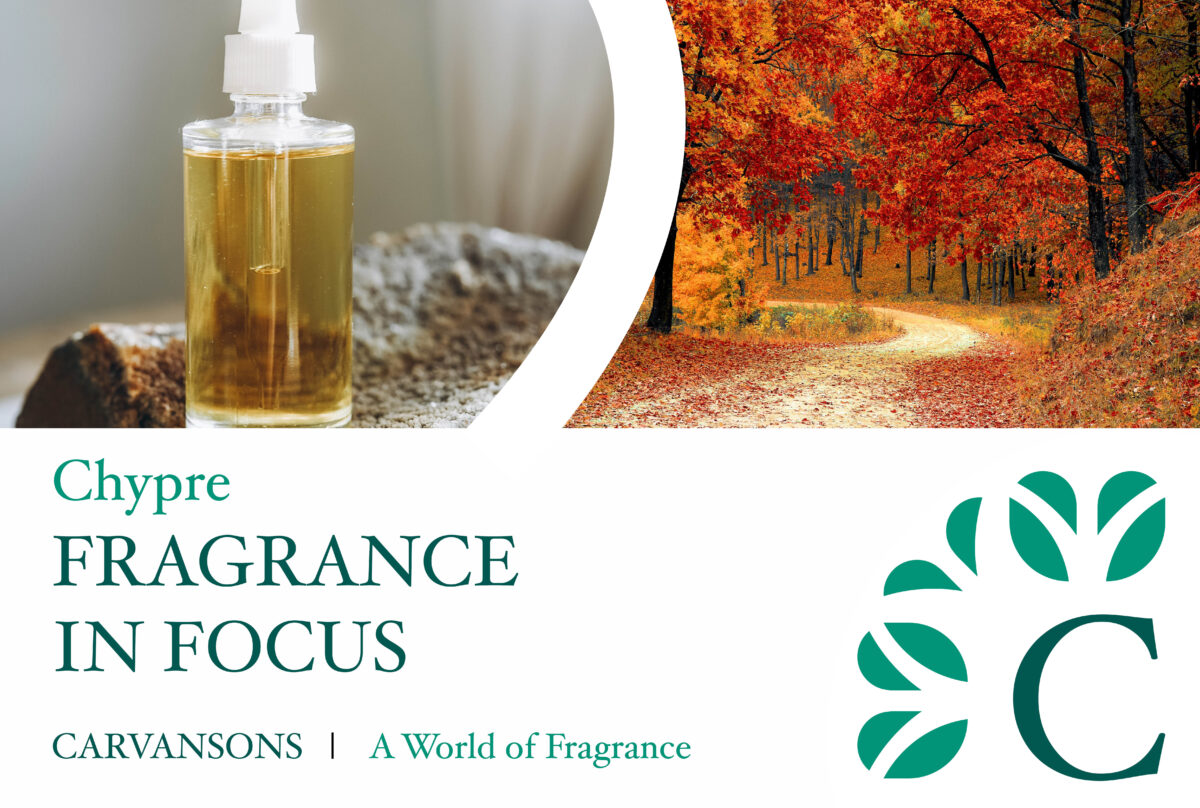 What are Chypre Fragrances? Perfume Categories