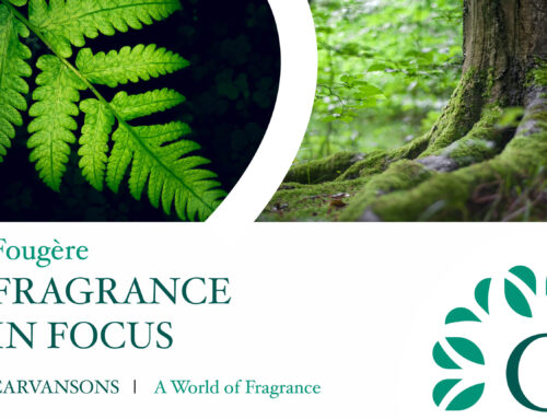 Fougère Perfumes | What does a Fougère Fragrance smell like?