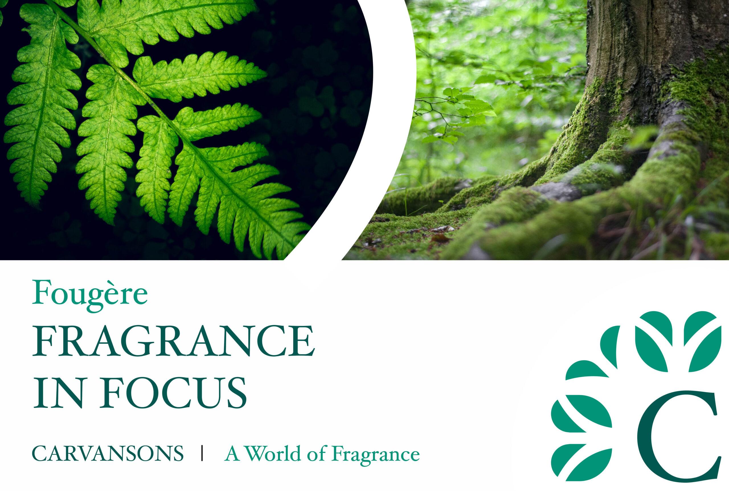 What is a Fougere Fragrance? - Escentual's Blog