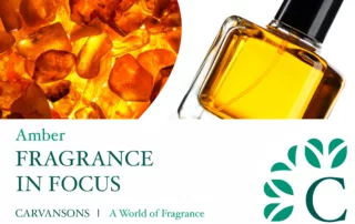 FIF - Amber Fragrance Oil
