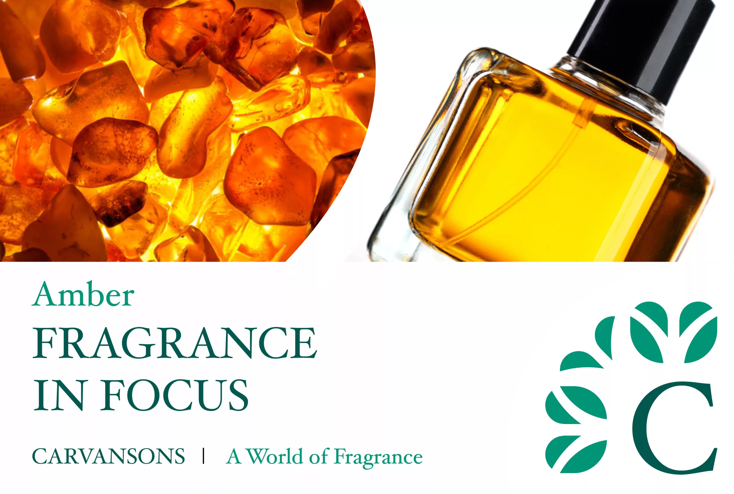 FIF - Amber Fragrance Oil