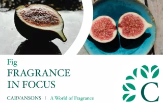 Fig fragrances