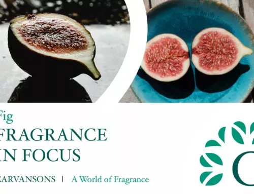 Embrace Complexity: The Rising Trend of Fig Fragrances
