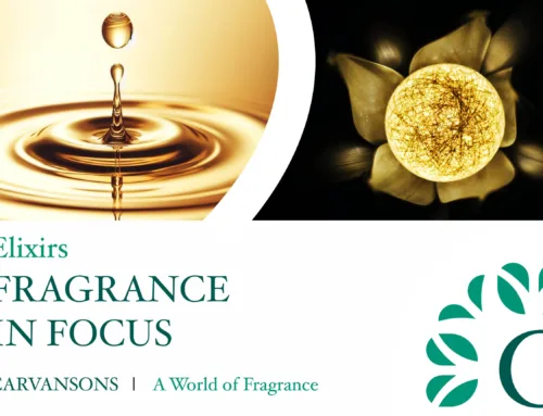 What are Elixir Perfumes? | Fragrance in Focus