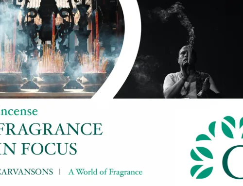 Feel the Burn: The Incense Fragrance Trend on Fire Right Now