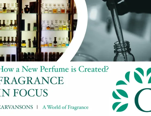 How is a Brand New Perfume Created? | Fragrance Creation