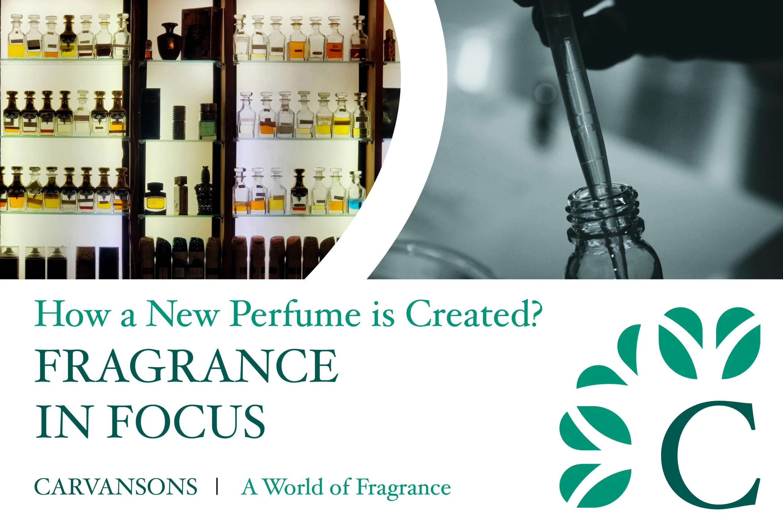 FIF - new perfume creation