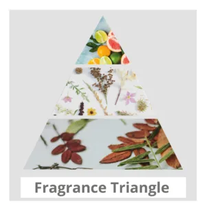 fragrance triangle