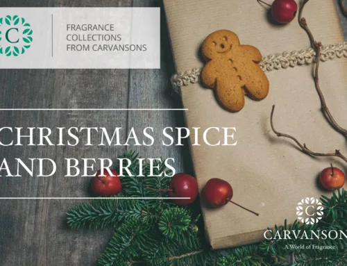 Christmas Spice and Berries Fragrance Collection