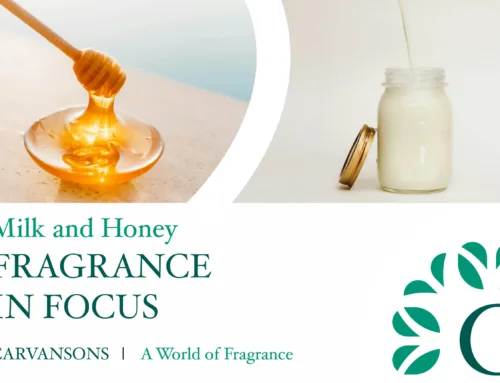 Milk and Honey Fragrances: What are Lactonic and Honeyed Fragrances?