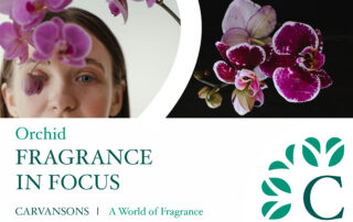 Orchid fragrances