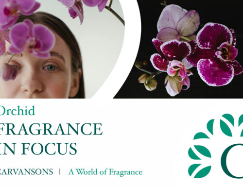 Orchid Fragrances: The Trend Blossoming for Spring/Summer 2025