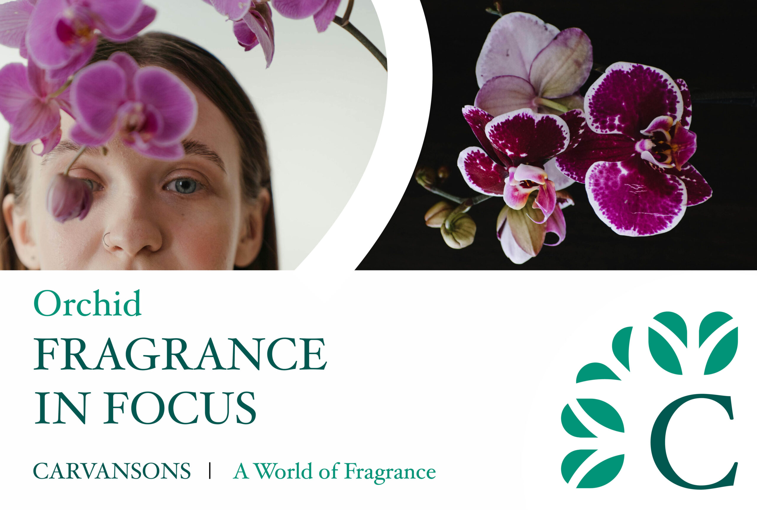 Orchid fragrances