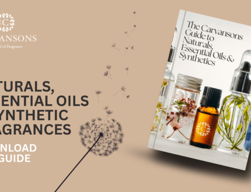 The Carvansons Guide to Natural and Synthetic Fragrances